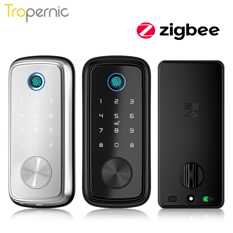 Smart Home Door Lock - Tuya Zigbee-Serrures à pêne dormant de