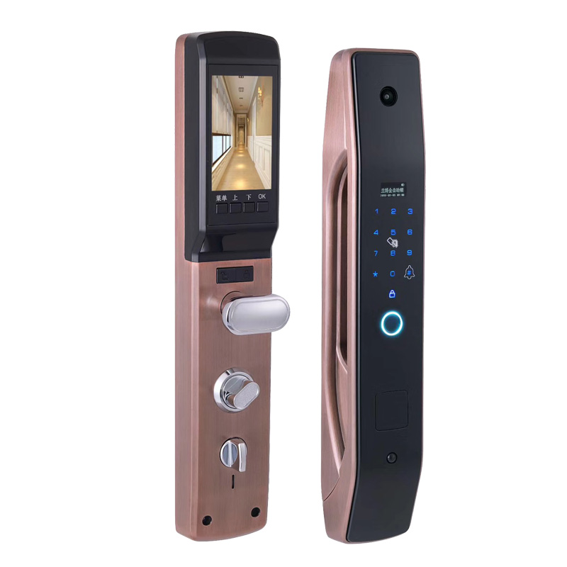 HanDaily facile à installer se - Smart Home Door Lock avis et prix